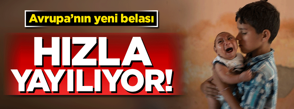 Zika virüsü Avrupa'da yayılıyor!