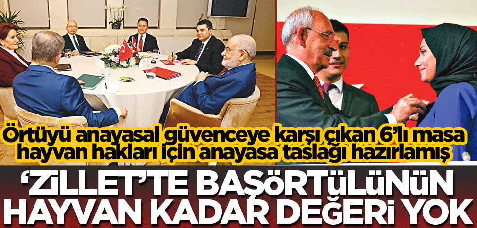 ‘Zillet’te başörtülünün hayvan kadar değeri yok