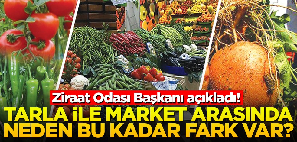 Ziraat Odası Başkanı açıkladı! Tarla ile market arasında neden bu kadar fark var
