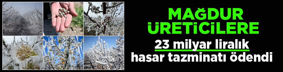 Zirai don üreticileri mağdur etmişti! 23 milyarlık hasar tazminatı ödendi