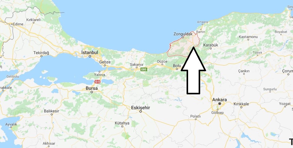 Zonguldak karantinaya mı alındı?