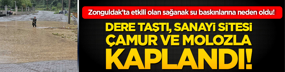 Zonguldak'ta etkili olan sağanak su baskınlarına neden oldu! Dere taştı, sanayi sitesi çamur ve molozla kaplandı!