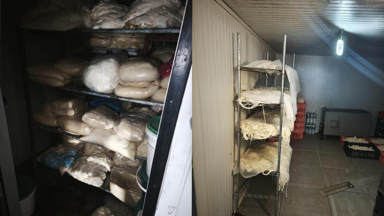 9 ton bozuk süt ve süt ürünü ele geçirildi