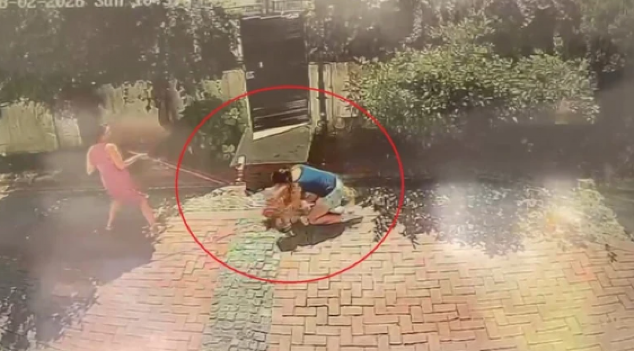 Ağızlığı olmayan pitbull küçük kıza saldırdı!