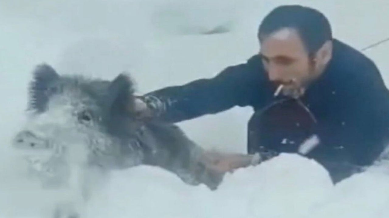 Ağzında sigarasıyla çıplak elle domuzu yakalayıp sevmişti! Çılgın Türk dünyanın gündeminde