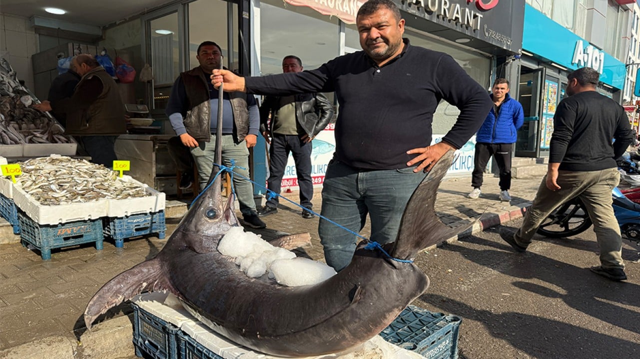 Akdeniz’in devi 138 kiloluk kılıç balığı balıkçı tezgahında