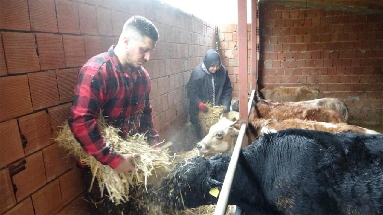 'Almanya'da robot olacağıma köyümde çoban olurum' dedi köyüne döndü