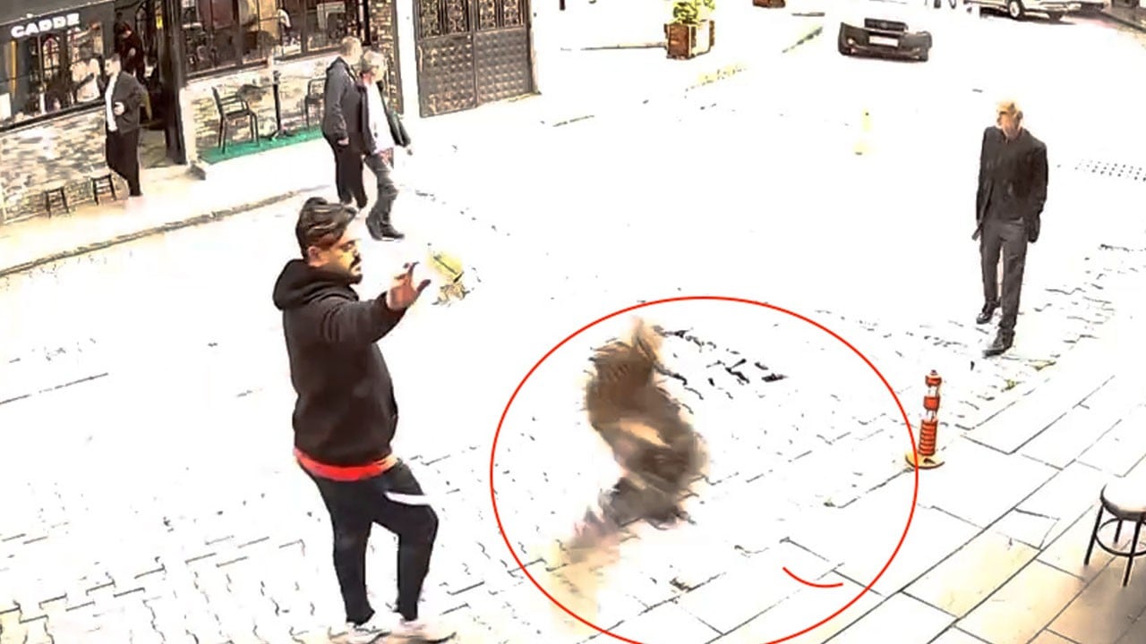 Atmacanın o anları kamerada! Avının peşinden berber dükkanına daldı