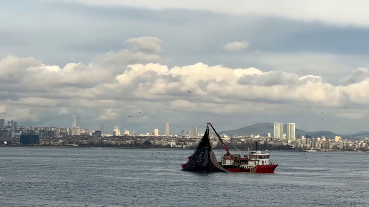 Av yasağı öncesi Marmara’da sürpriz bolluk!