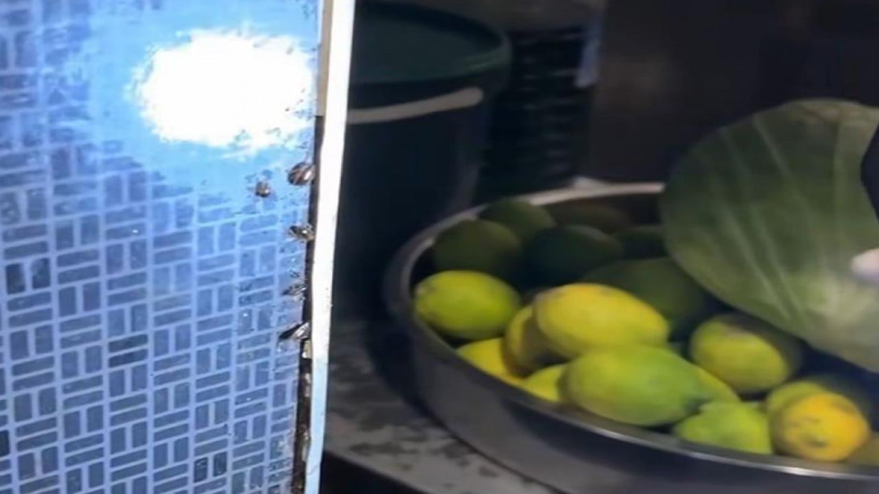 AVM restoranlarının mutfakları mide bulandırıyor