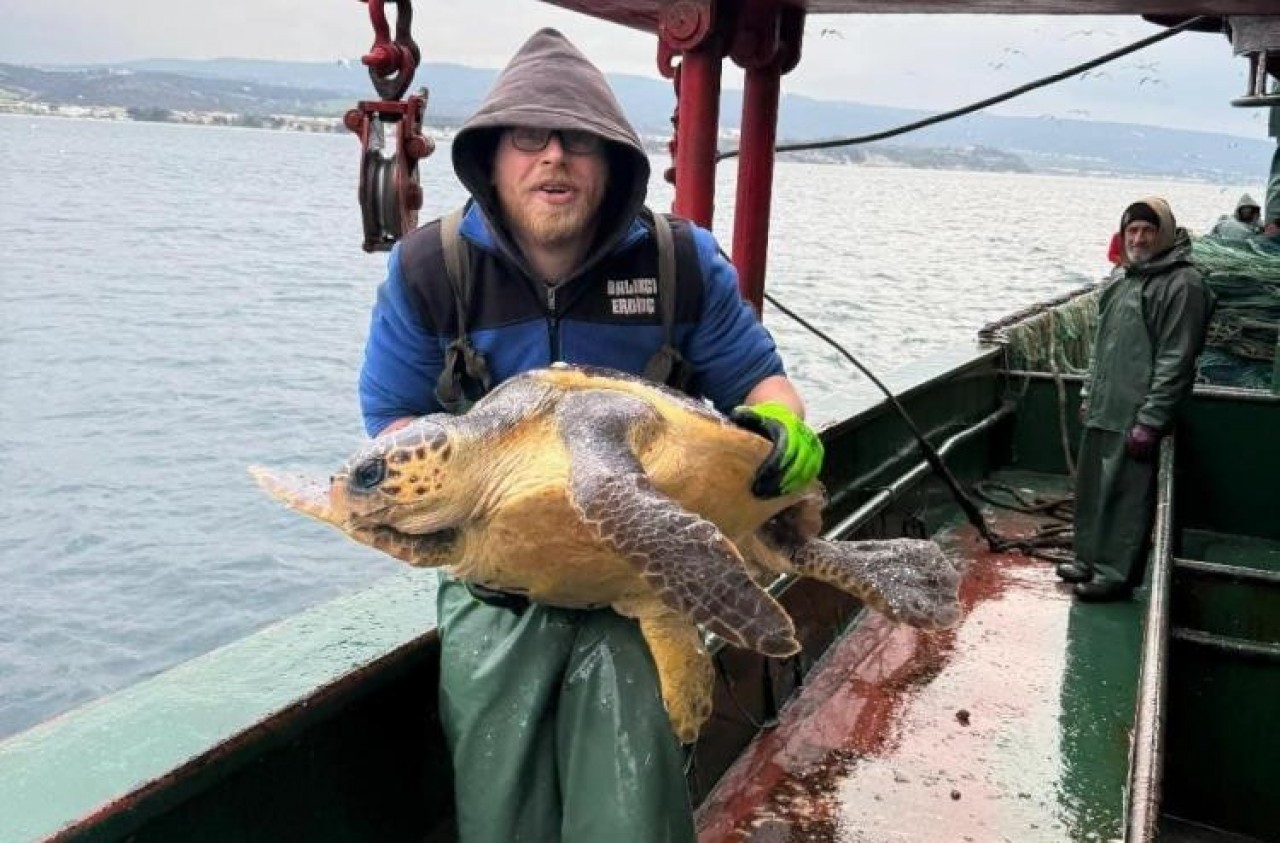 Balıkçıların kısmetine ağdan caretta caretta çıktı