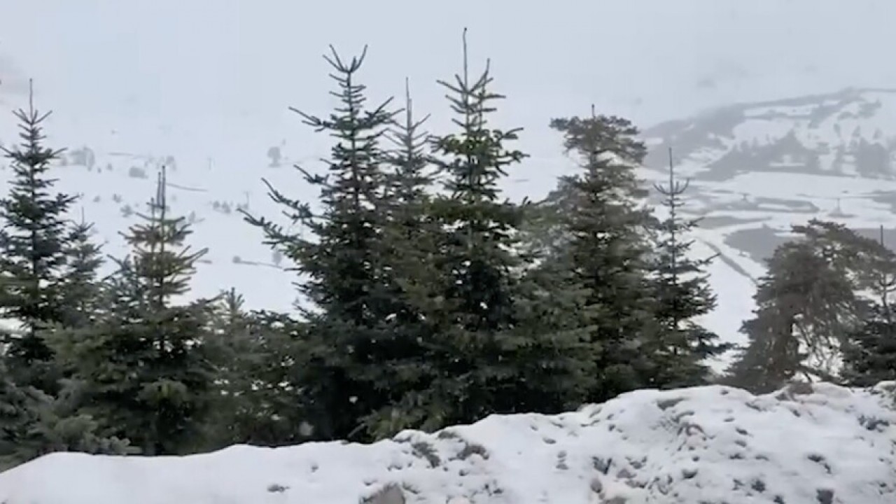 Batı Karadeniz’de mayıs karı! İki il beyaz örtüyle kaplandı