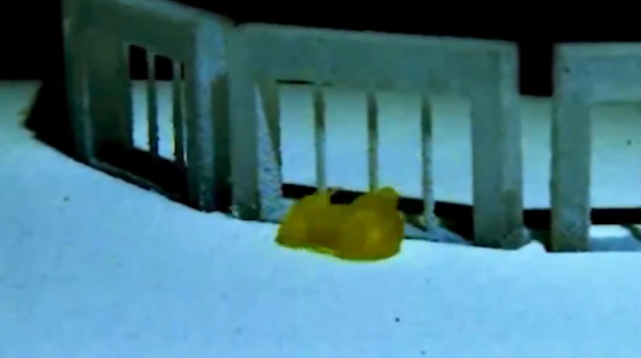 Bilim dünyasında devrim! Sıvı robotlar katı makinelerin devrini kapatmaya hazırlanıyor.