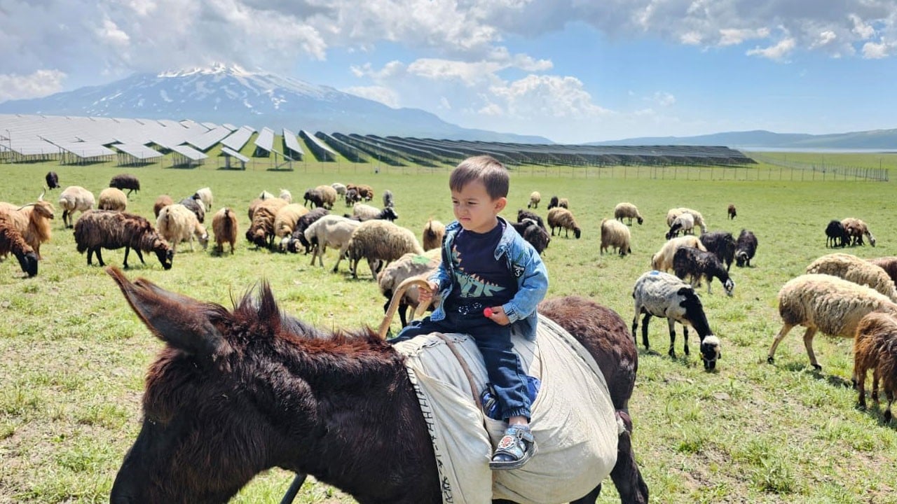 Bitlis yaylalarında yaz mesaisi başladı!