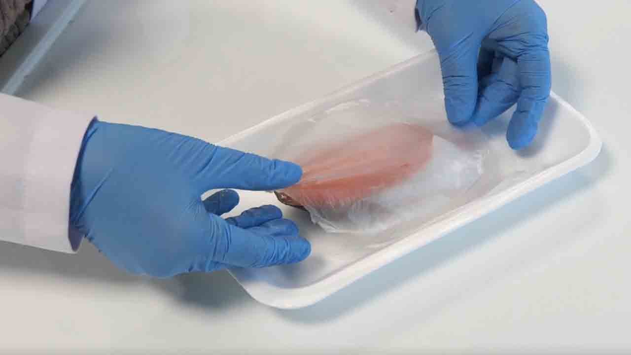 Bozulmaya son veren buluş Gıdaları oda sıcaklığında 15 gün koruyor