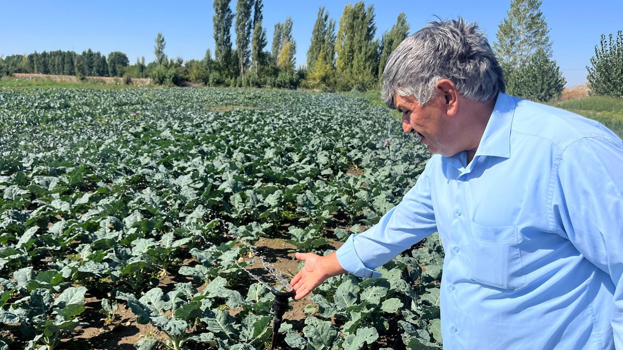 Çitçiler dertli! Kuyu suları 20 metreye indi, ürün fiyatları 5 kat arttı