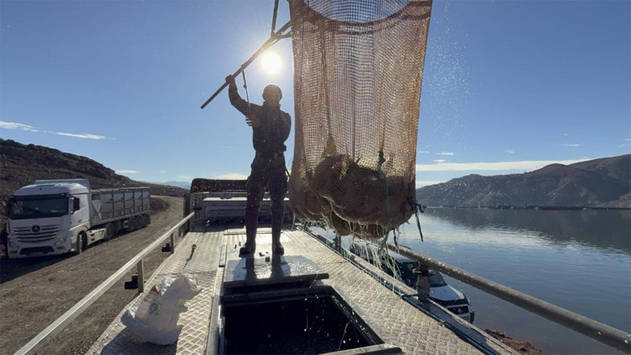 Denizi olmayan Tokat’ın somonları dünya sofralarında