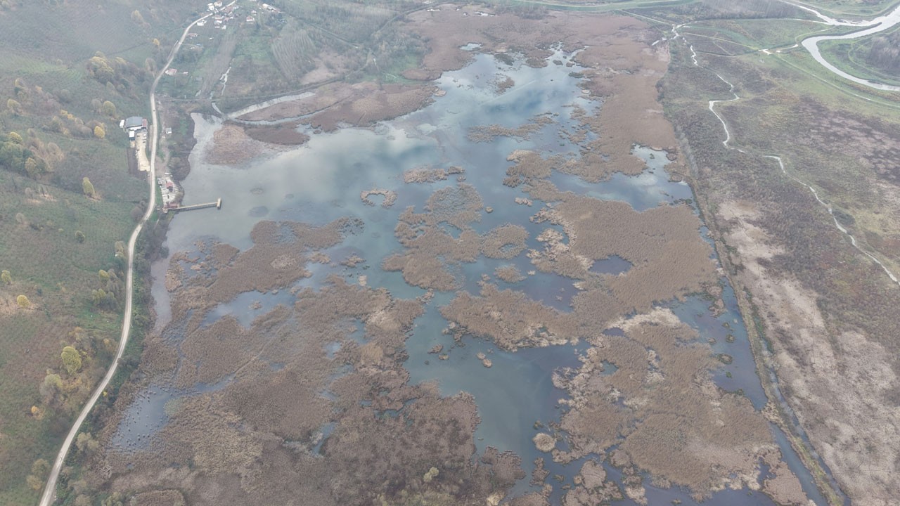Dikkat çeken değişim: Efteni Gölü’nde neler oluyor?