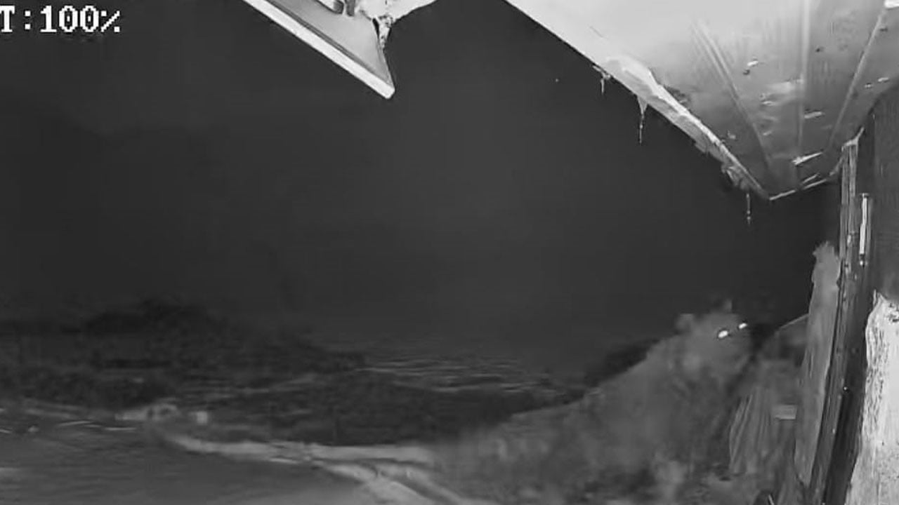 Doğu Karadeniz’de ayı dehşeti! Kar yağdı ama onlar bir türlü kış uykusuna yatmadı