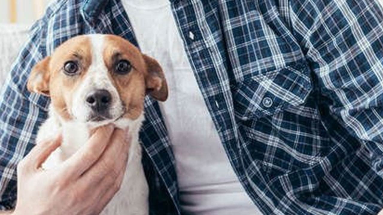 Evde hayvan beslemenin tehlikelerini böyle anlattı: Hiç farkında bile olmadan...