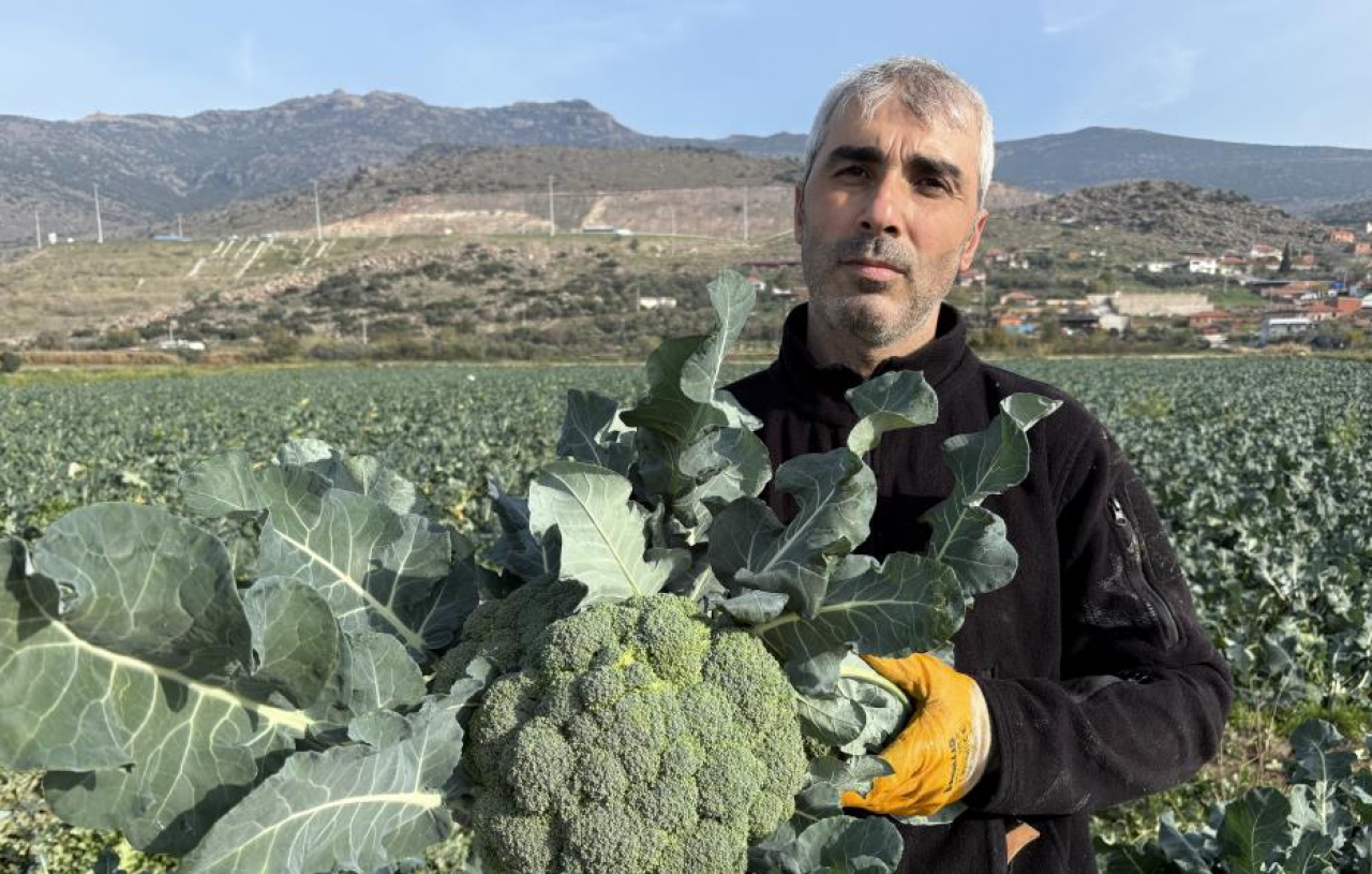 Fahiş fiyat makası açıldı! Üreticiden 15 TL’ye çıkan brokoli pazarda nasıl 50 TL oldu?