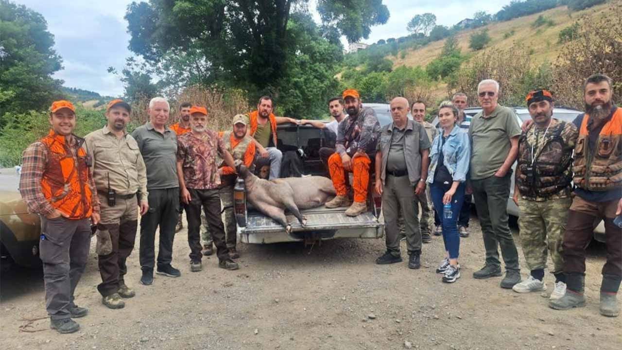 Fındık sezonu öncesi avcılardan domuz alarmı