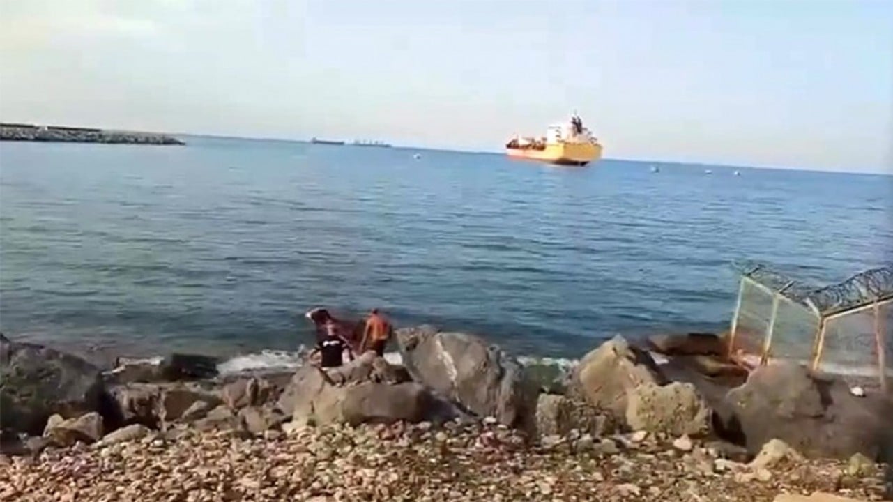 Gemiden denize düşen angus yüzerek karaya çıktı!