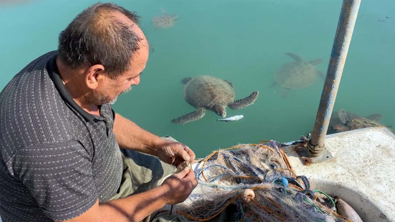 Göç etmeyip limanı mesken tuttular