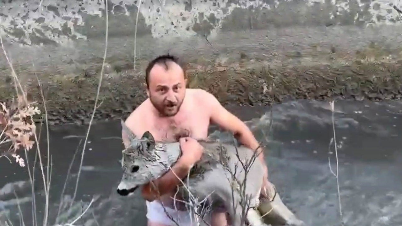 Günün kahramanları: Ölüme 100 metre kala buz gibi sudan çıkardılar