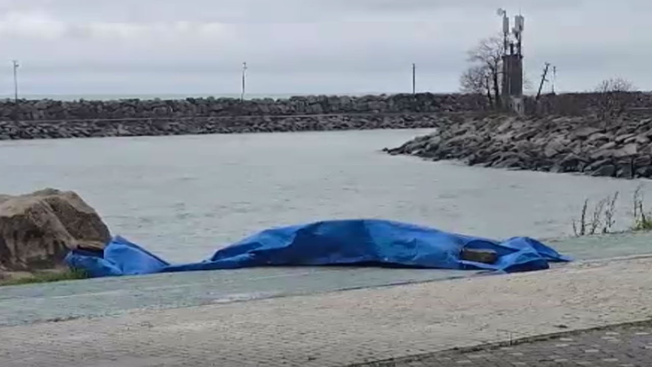 Güvenlik ekipleri apar topar harekete geçti: Esrarengiz cihaz kıyıya vurdu!