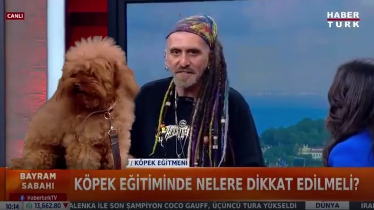 Habertürk ne yapmaya çalışıyor? Kurban Bayramı sabahı köpek yayını!
