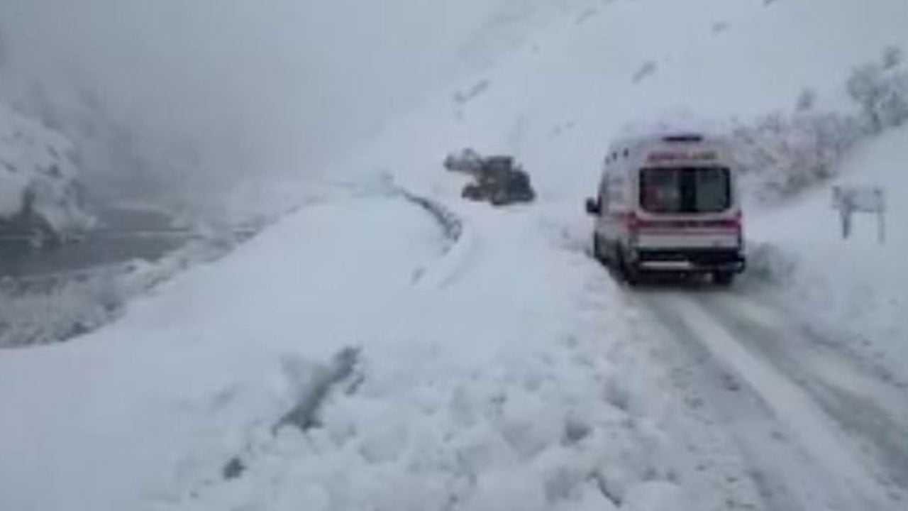 Hakkari’de 7 aylık bebek için dağ tıraşlandı, çığlar aşıldı