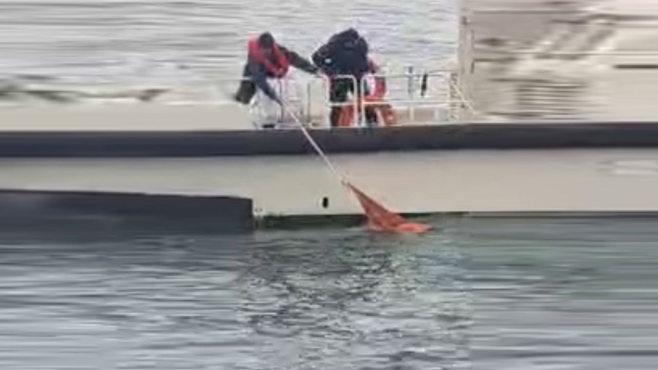 Hareketsiz bulunan kadın kurtarıldı! Bartın’da denizde can pazarı