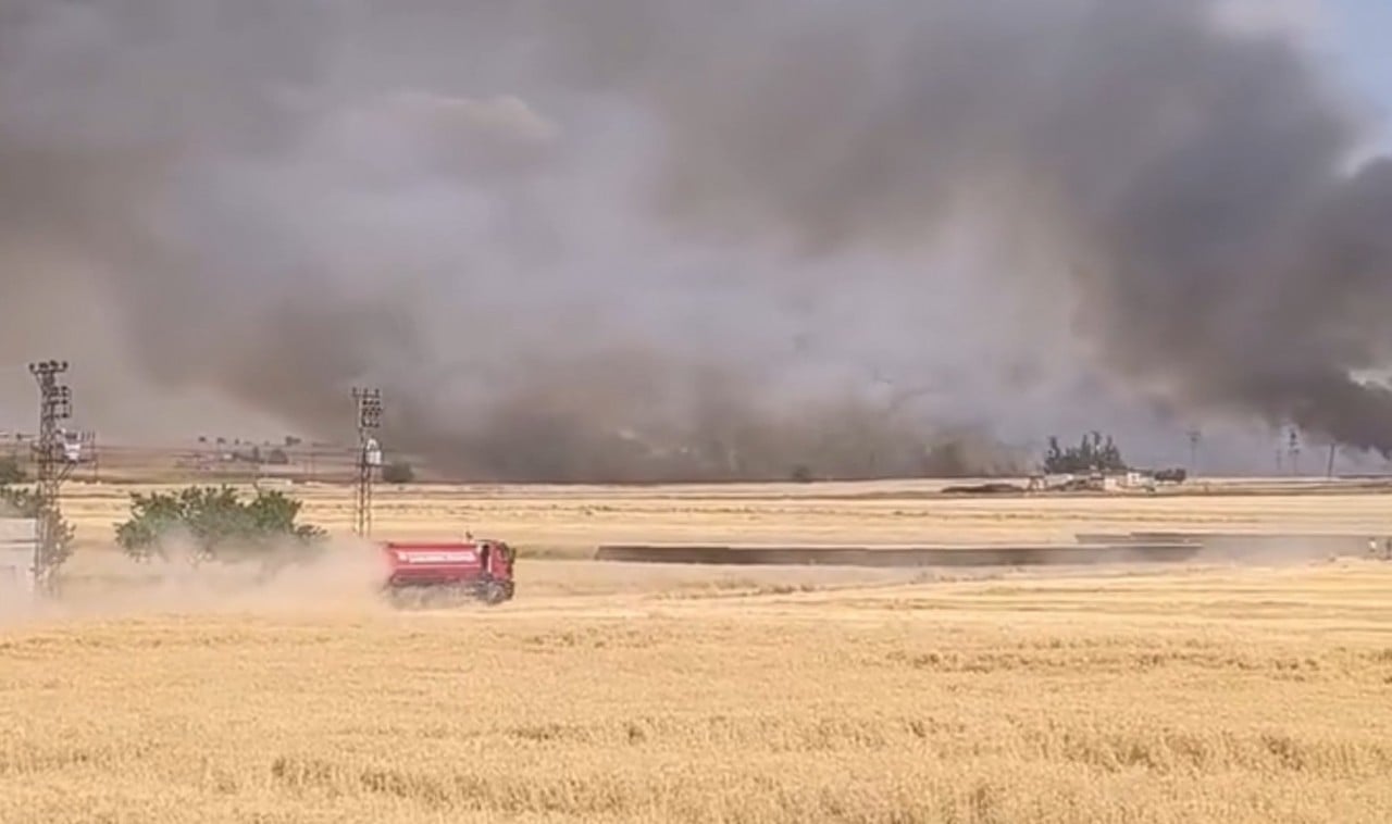 Harran'da yüzlerce dönümlük ekili buğday arazisi güpegündüz alev alev yandı!