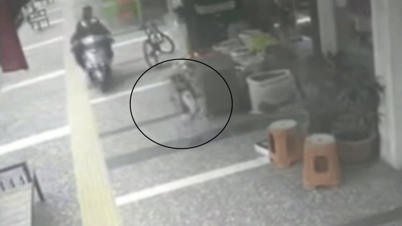 Hem ehliyetsiz hem de kaldırımdan gidiyor: Motosiklet küçük çocuğa çarptı!