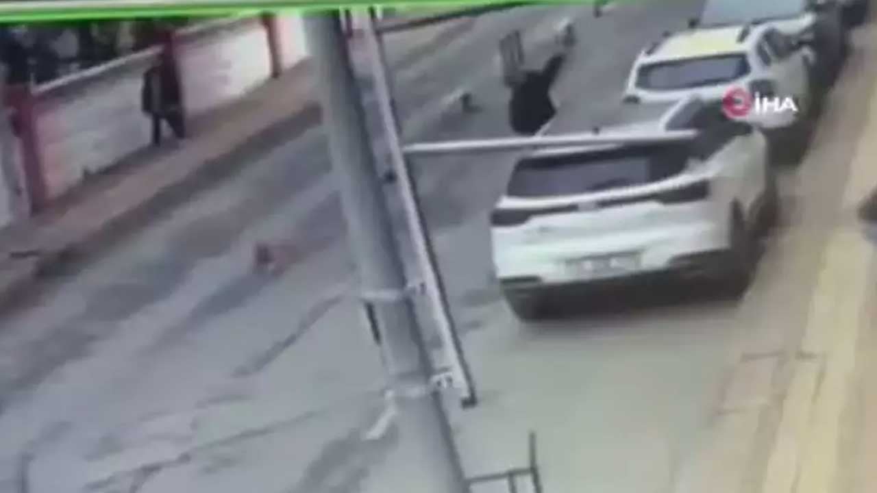 İdamı getirin artık! Fatih'te gündüz vakti skandal