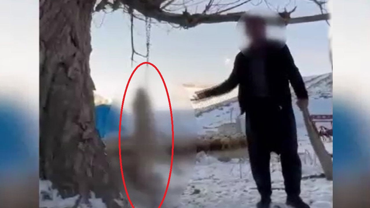 İnsanlığın bitti nokta! Köpeğini ağaca asarak öldürdü