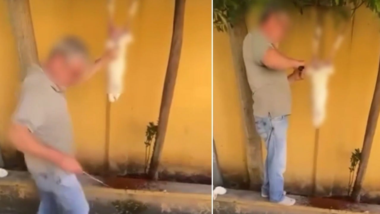 İstanbul’da görenler dehşete düştü! Sokakta tavşanı kesip derisini yüzdü, gözaltına alındı