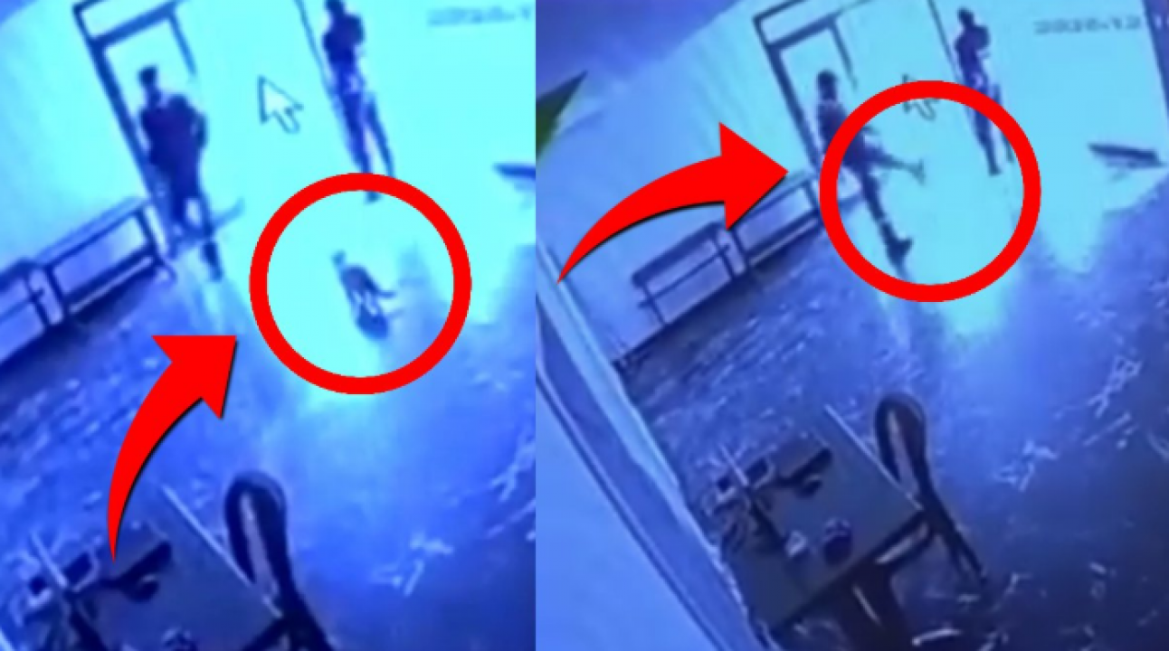 Kamu binasında vicdanları sızlatan anlar: Kediyi tekme tokat dışarı attı