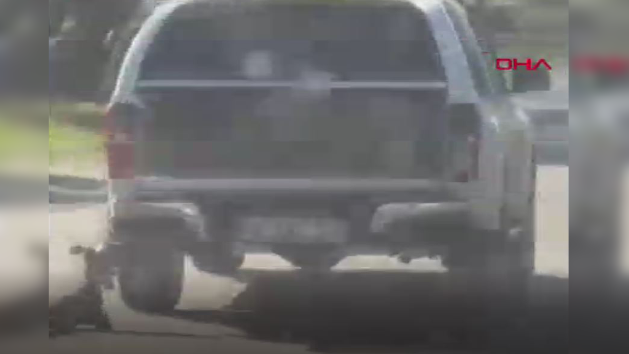 Kamyonete bağlayıp sürükledikleri köpek öldü! Muğla’da vahşete 2 gözaltı!