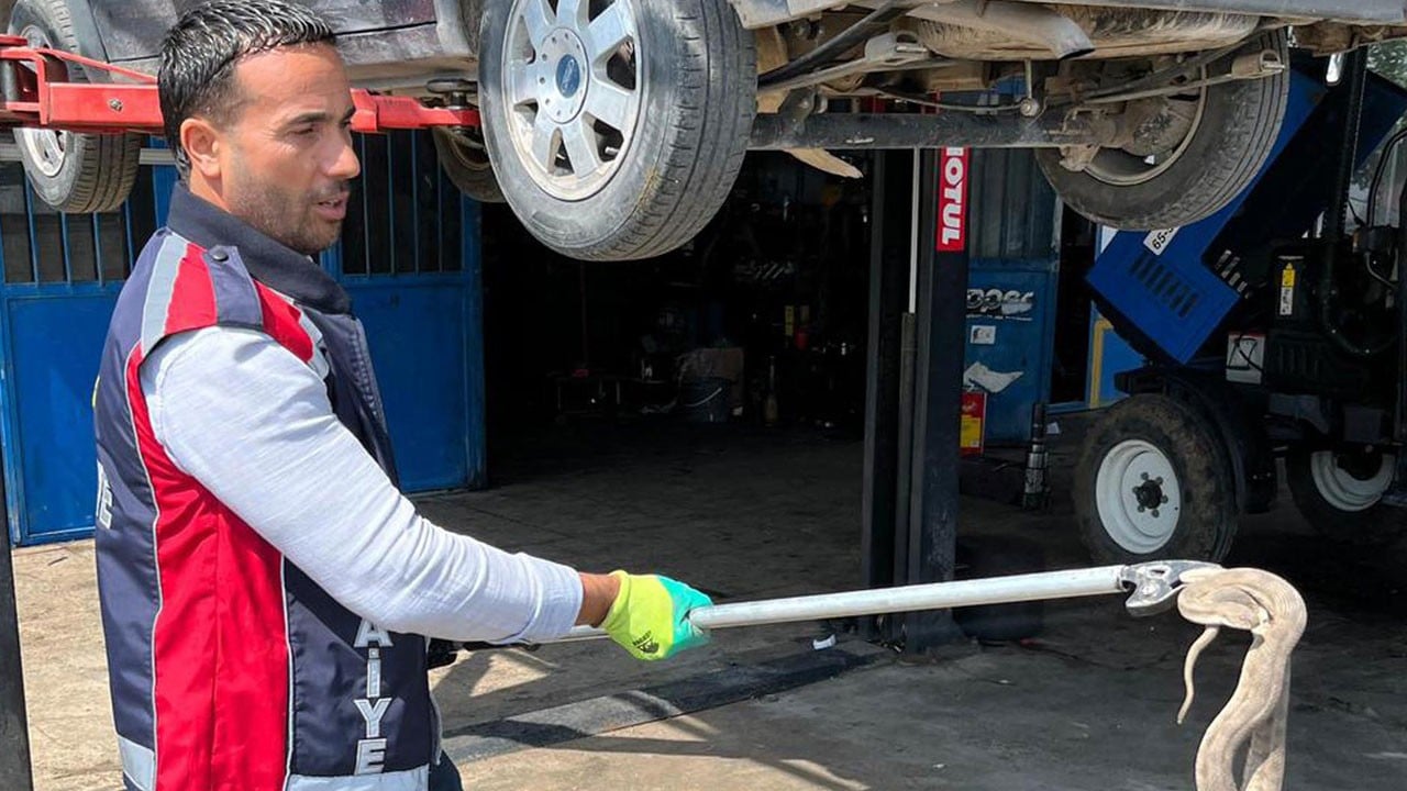 Kaputu açınca neye uğradığını şaşırdı! Motora giren yılan böyle çıkarıldı