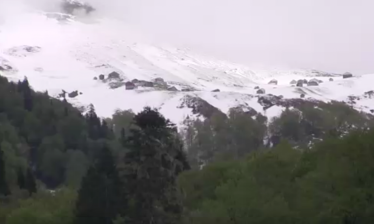 Karagöl'de doğa harikası bayram izdihamı! Yeşille beyazın buluştuğu yere turist akını oldu