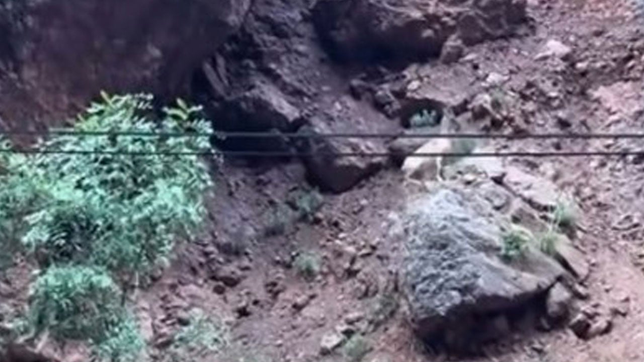 Kayalıklardan peş peşe atladılar! Nesli tehlike altındaki dağ keçileri böyle görüntülendi