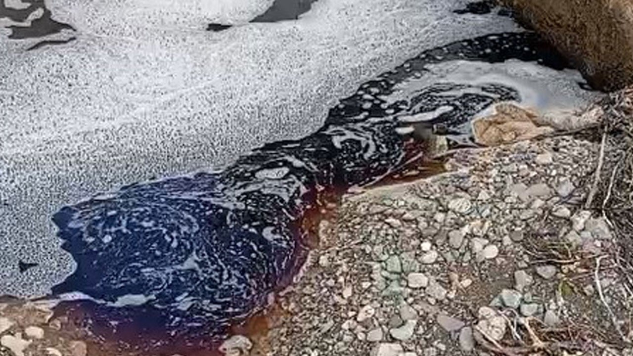Kaynağı merak ediliyor! Yalova’da deniz kırmızıya boyandı