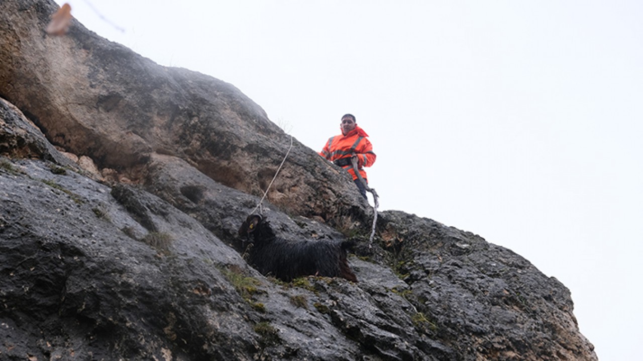 Keçileri kaçıran adamın yardımına itfaiye geldi