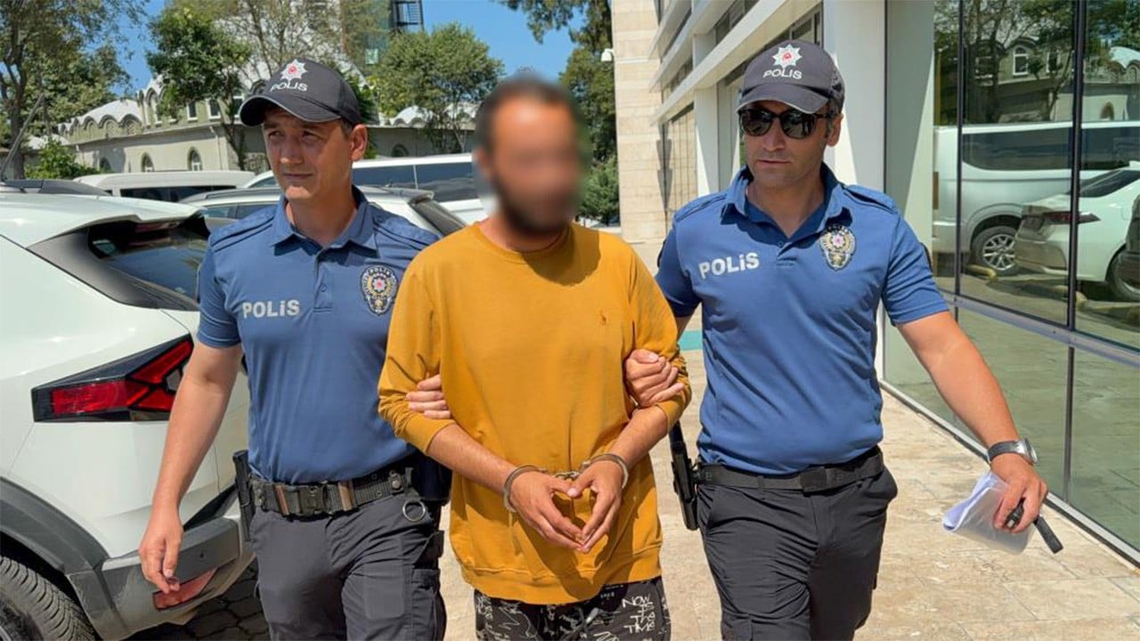 Kediye tekme atan şahıs yaka paça tutuklandı!