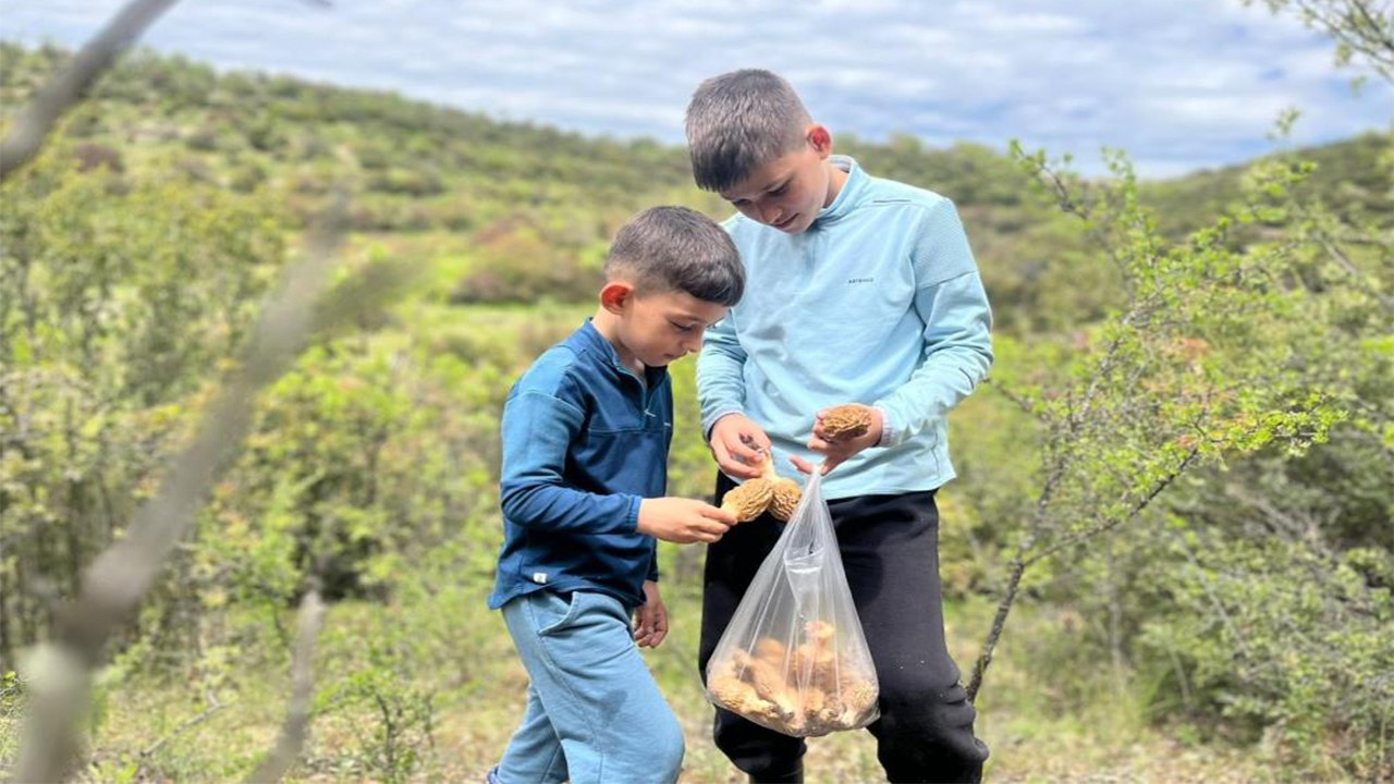 Kilosu 2 bin lira olsan kuzu göbeği herkesi dağa çıkardı