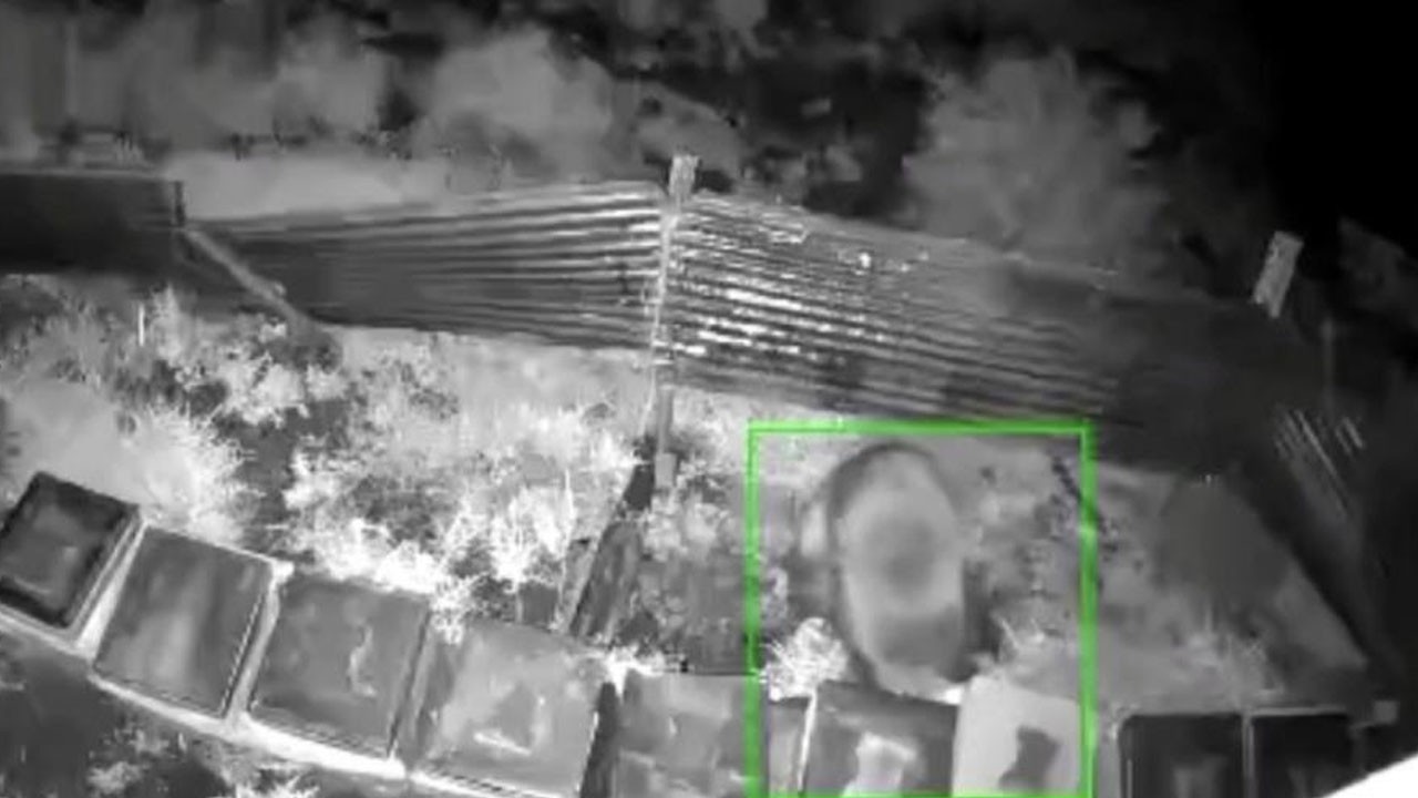 Kış uykusundan uyanan ayı kovanlara saldırdı