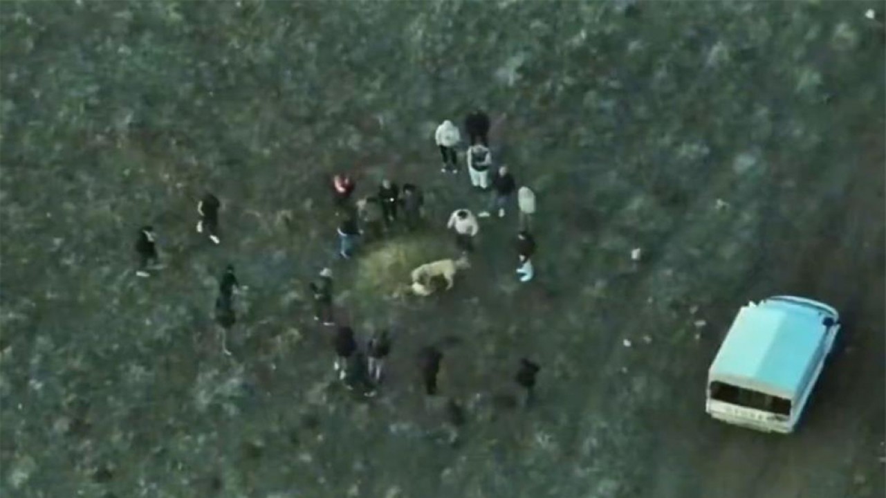 Köpek dövüştüren şahıslar jandarma dronundan kaçamadı