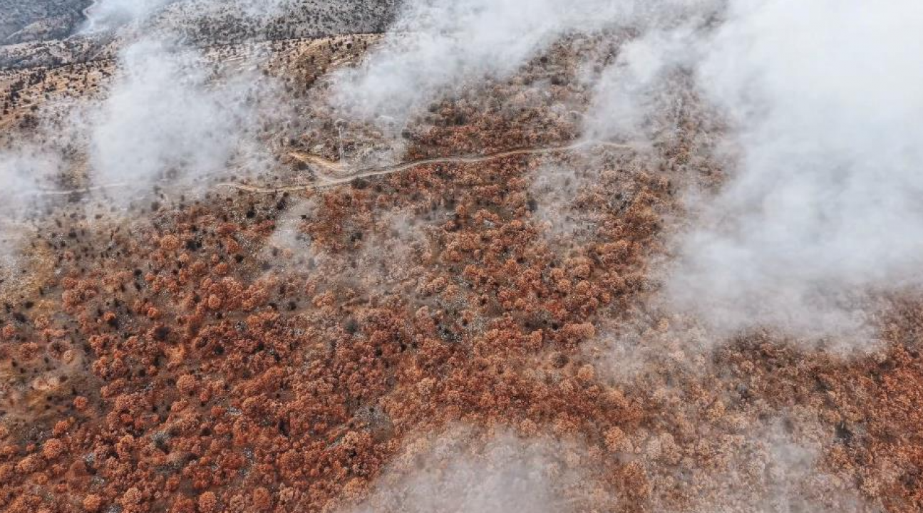 Korgun’da kartpostallık manzara: Sis ormanları sardı